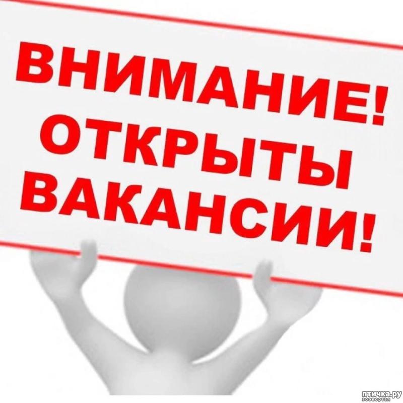 Внимание! Открыты вакансии