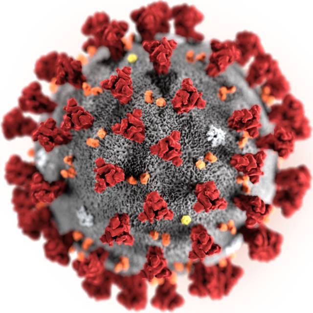 Что делать, если подозреваешь у себя коронавирус или уже болен СOVID-19